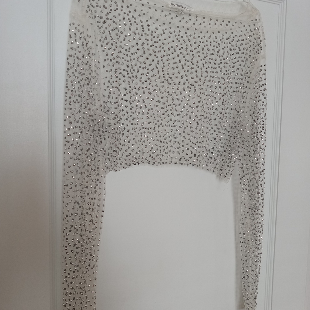 Hot & Delicious Shimmering Silver Sequin Crop Top